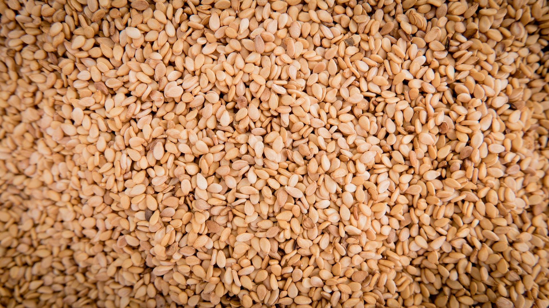 sesame-1627009_1920.jpg